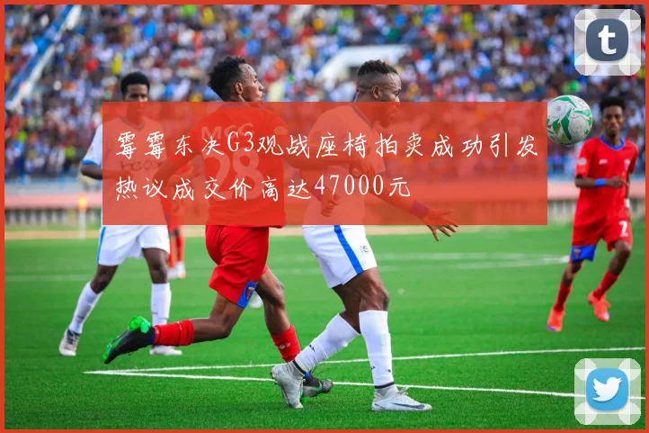霉霉东决G3观战座椅拍卖成功引发热议成交价高达47000元