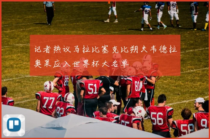 记者热议马拉比塞克比朔夫韦德拉奥果应入世界杯大名单